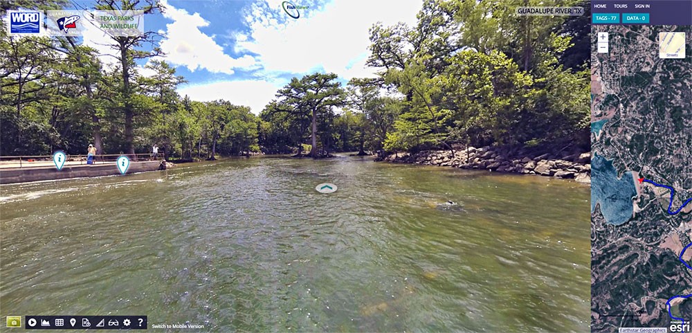 The Guadalupe River